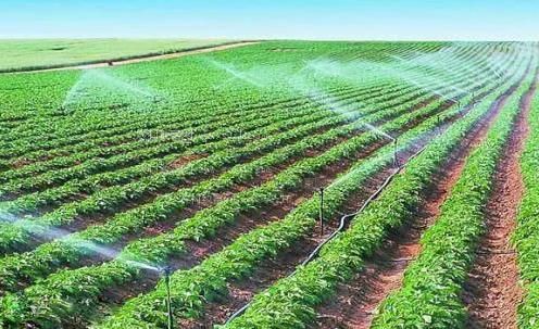 免费看男人和女人考逼的视频农田高 效节水灌溉